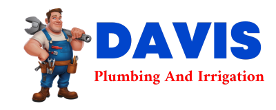 Trusted plumber in LUMBER BRIDGE